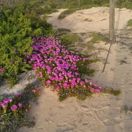 Casa Sofia: Comodi E Tranquilli *