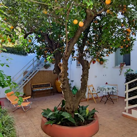 Casa Sofia: Comodi E Tranquilli 아파트