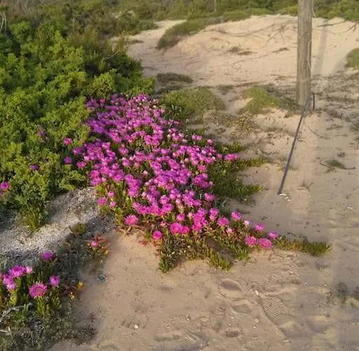 Casa Sofia: Comodi E Tranquilli *